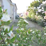 Via Carbonia